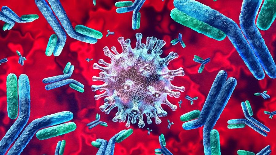 De acordo com estudo, embora rara, reinfecção por covid-19 é mais comum em idosos - News Rondônia