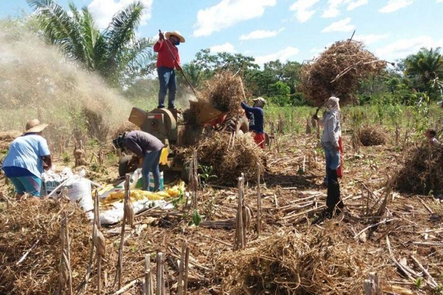 No Dia do Agricultor, Governo de Rondônia destaca a importância da agricultura para impulsionar a economia - News Rondônia