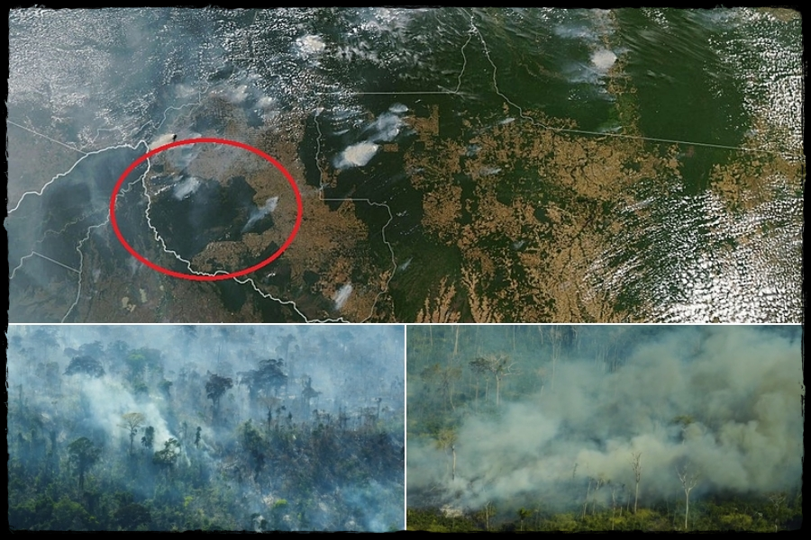 Rondônia registra mais de 989 focos incêndios nos primeiros 12 dias de outubro; o estado lista entre os dez com mais registros - News Rondônia