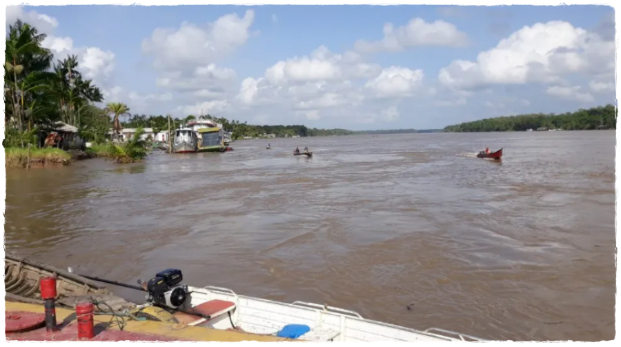 Avanço do mar causa salinização das águas no Amapá; moradores da pequena ilha de Bailique alegam fome e sede - News Rondônia