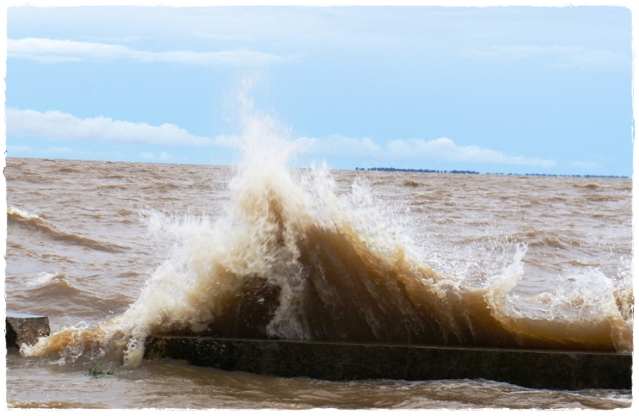 Avanço do mar causa salinização das águas no Amapá; moradores da pequena ilha de Bailique alegam fome e sede - News Rondônia
