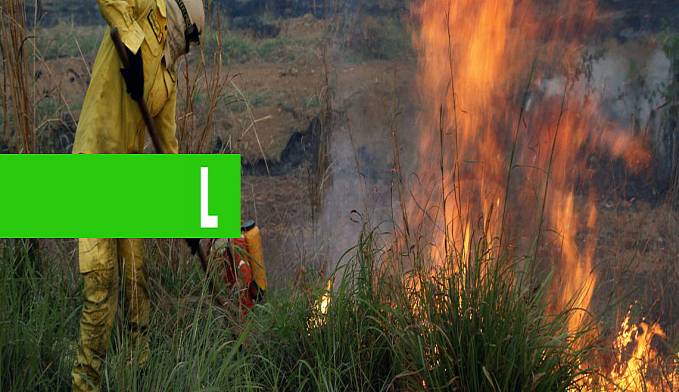 PARA COMBATER QUEIMADAS, SEDAM LEVA EDUCAÇÃO AMBIENTAL A MACHADINHO DOESTE E CUJUBIM - News Rondônia