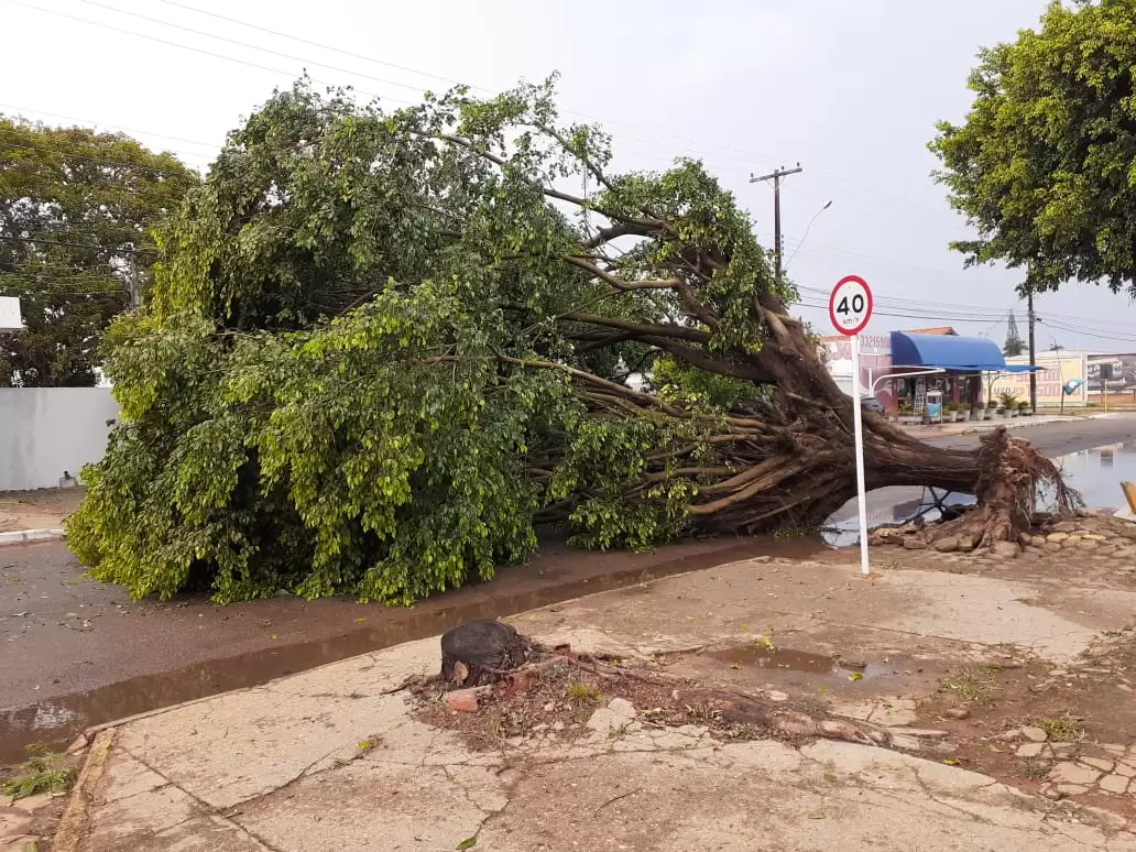 Chuva de granizo causa estragos em Vilhena - News Rondônia