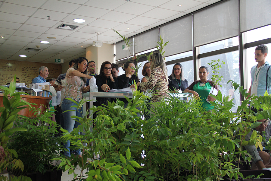 COMARCAS DO INTERIOR TAMBÉM TERÃO DISTRIBUIÇÃO DE MUDAS - News Rondônia