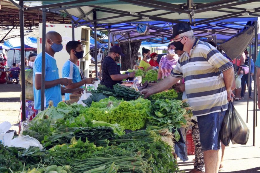 SEMANA DO MEIO AMBIENTE - Sedam e parceiros realizam mutirão de limpeza e blitz educativa na Feira do Cai NÁgua neste domingo, 6 - News Rondônia
