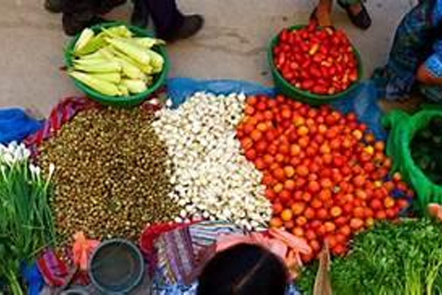 Conab promove leilões para aquisição de alimentos para comunidades indígenas, com cerca de 20 mil toneladas previstas - News Rondônia