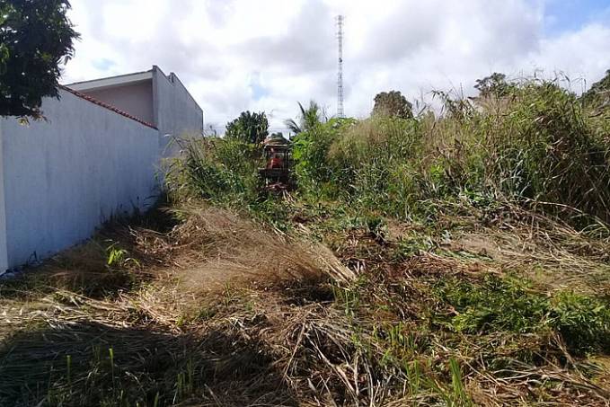 Prefeitura notifica proprietários de lotes baldios para que limpem seus terrenos - News Rondônia