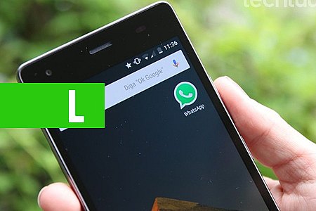 FALHA NO WHATSAPP PERMITE MODIFICAR MENSAGENS COM A FERRAMENTA DE RESPONDER - News Rondônia