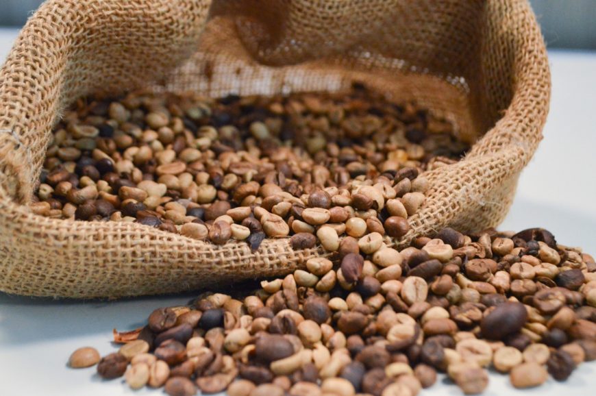SEAGRI FIRMA CONVÊNIO DE MAIS DE R$ 6,2 MILHÕES PARA FORTALECER A CAFEICULTURA EM RONDÔNIA - News Rondônia