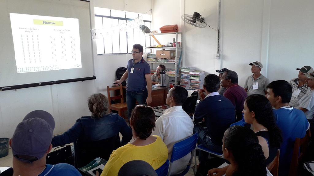 PRODUTORES E TÉCNICOS RECEBEM CAPACITAÇÃO PARA MELHORIA DO CULTIVO DO ABACAXI EM RONDÔNIA - News Rondônia