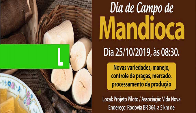 DIA DE CAMPO DE MANDIOCA ACONTECE DIA 25 DE OUTUBRO EM PORTO VELHO - News Rondônia