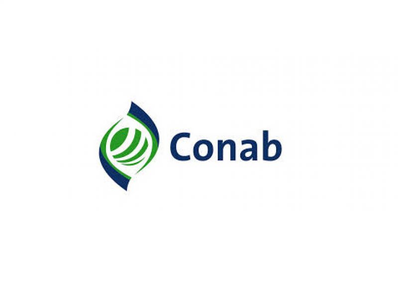 CONAB ABRE CHAMADA PÚBLICA PARA COMPRA DA AGRICULTURA FAMILIAR - News Rondônia