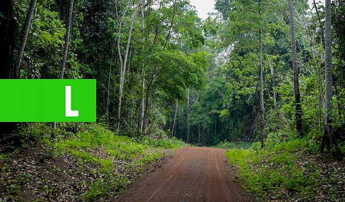 PROGRAMA FLORESTA+ - Governo Federal apoia crédito de carbono na Resex Rio Cautário em Rondônia e mobiliza investidores privados - News Rondônia