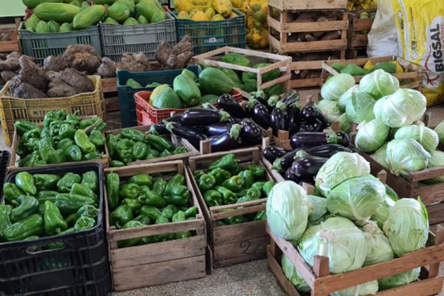 Agricultura familiar de Vilhena é fortalecida com investimentos de R$ 80 mil do PAA Federal - News Rondônia