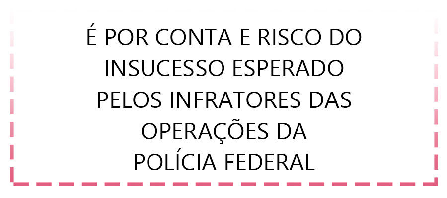 SEM ALARDES, GRILEIROS, MADEIREIROS E FAZENDEIROS DEVASTAM MUNICÍPIOS DO SUL DO AMAZONAS - News Rondônia