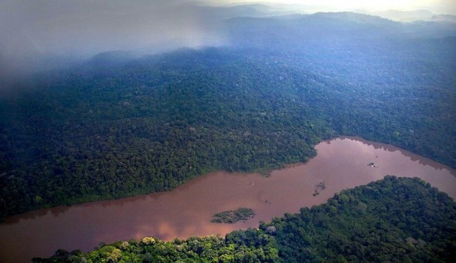 SEM ALARDES, GRILEIROS, MADEIREIROS E FAZENDEIROS DEVASTAM MUNICÍPIOS DO SUL DO AMAZONAS - News Rondônia