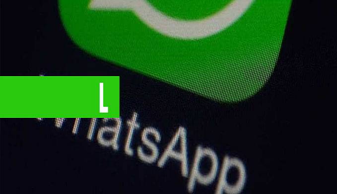 Nova opção do WhatsApp vai ajudar a detectar notícias falsas - News Rondônia