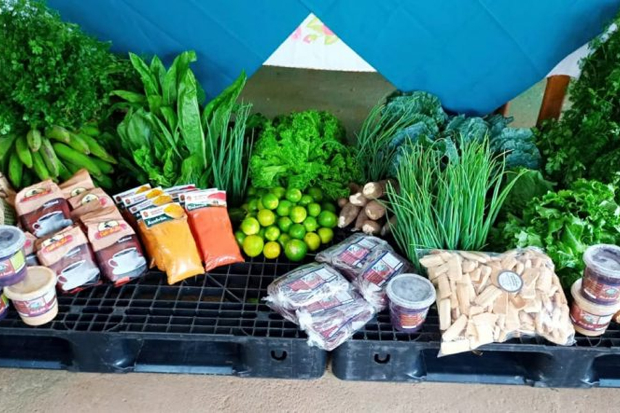Nova proposta do PAA estadual beneficia mais de 100 produtores e 5 cooperativas da Agricultura Familiar, em Rondônia - News Rondônia