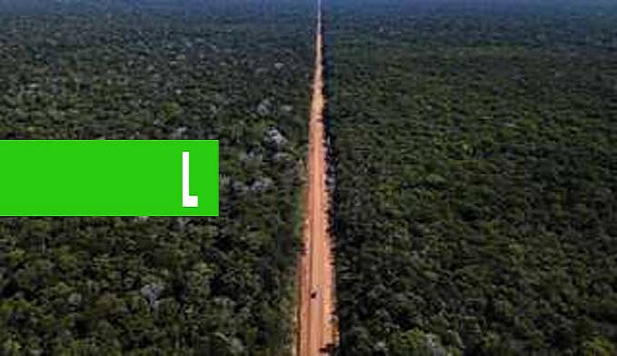 O projeto rodoviário que ameaça uma das áreas mais conservadas da Amazônia - News Rondônia