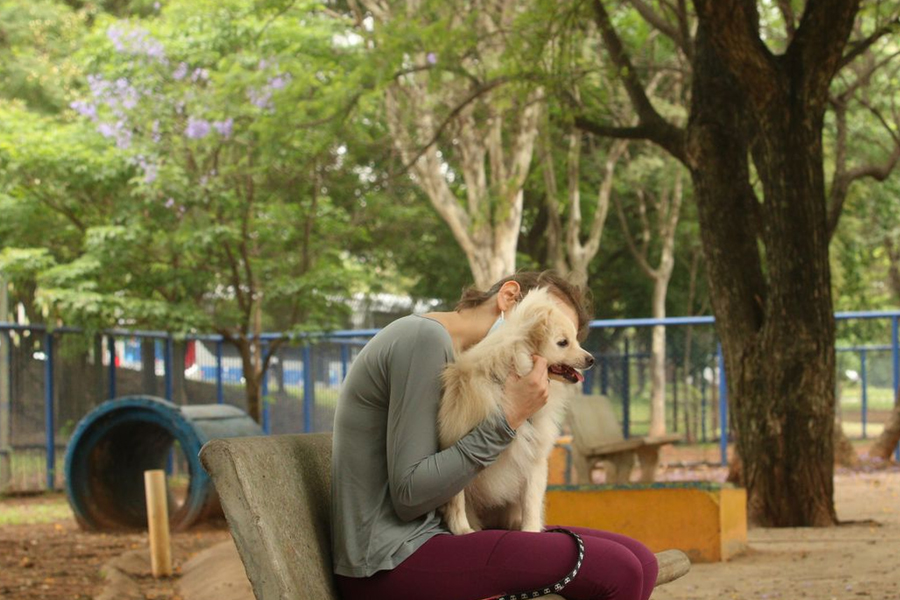 Entenda por que fogos de artifício assustam cachorros e gatos - News Rondônia