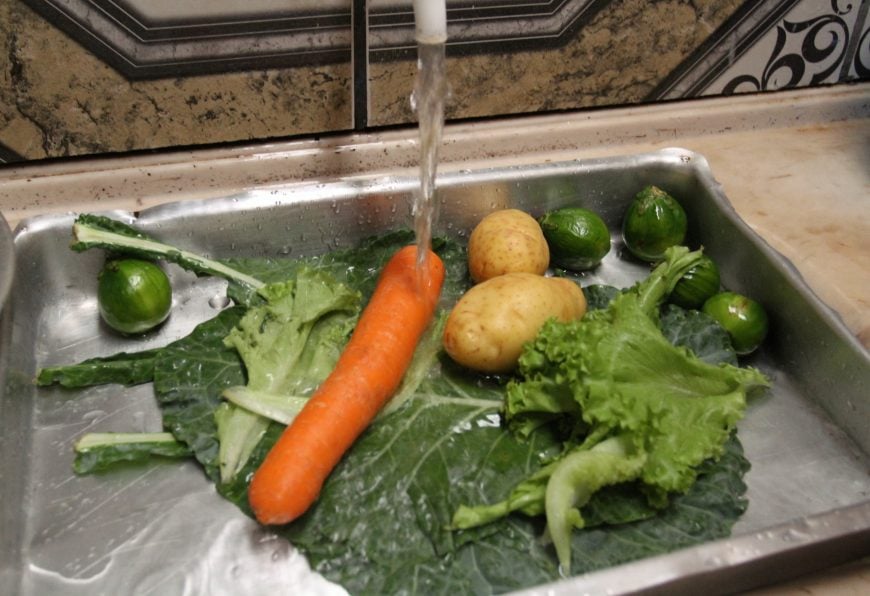 HIGIENIZAÇÃO CORRETA AJUDA A ELIMINAR AGROTÓXICOS DE ALIMENTOS; VEJA DICAS DE NUTRICIONISTA - News Rondônia