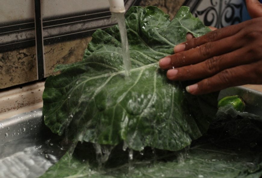 HIGIENIZAÇÃO CORRETA AJUDA A ELIMINAR AGROTÓXICOS DE ALIMENTOS; VEJA DICAS DE NUTRICIONISTA - News Rondônia