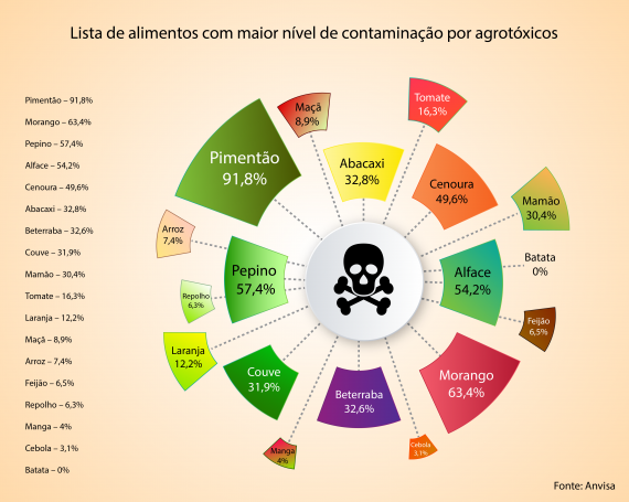 HIGIENIZAÇÃO CORRETA AJUDA A ELIMINAR AGROTÓXICOS DE ALIMENTOS; VEJA DICAS DE NUTRICIONISTA - News Rondônia