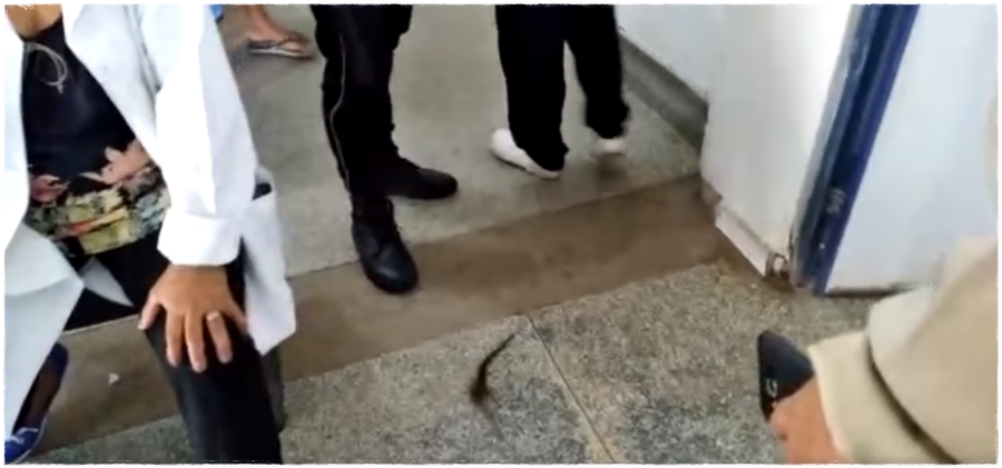 Servidores do setor psiquiátrico do Hospital de Base denunciam tensão e falta de segurança no local - News Rondônia
