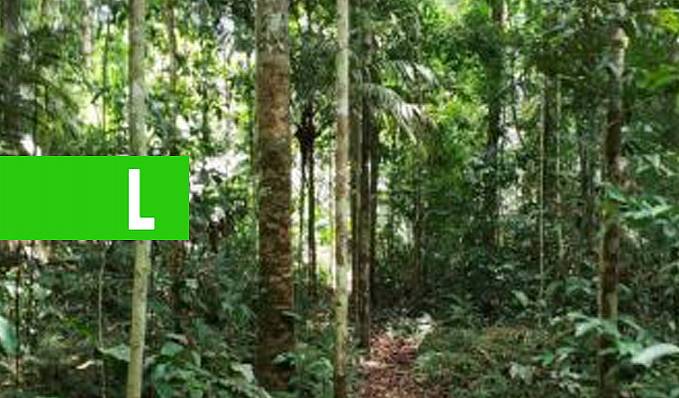 PESQUISA - Estudo da Fiocruz em Rondônia mostra avanços no conhecimento dos transmissores de leishmaniose - News Rondônia