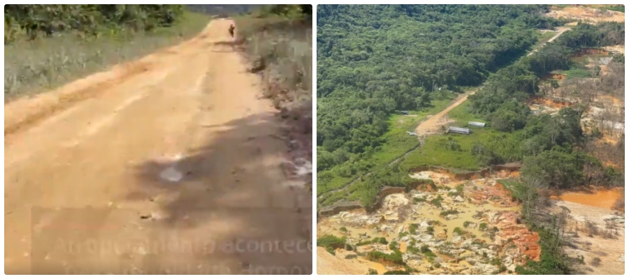 Índio atropelado e morto por avião de garimpeiros era um 'Yanomami' - News Rondônia
