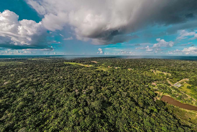 Prefeitura fortalece política de preservação ambiental e foca na Economia Verde - News Rondônia