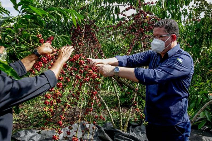 ANIVERSÁRIO - Cacoal completa 44 anos e amplia safra cafeeira, recupera nascentes e lidera número de captação de órgãos - News Rondônia