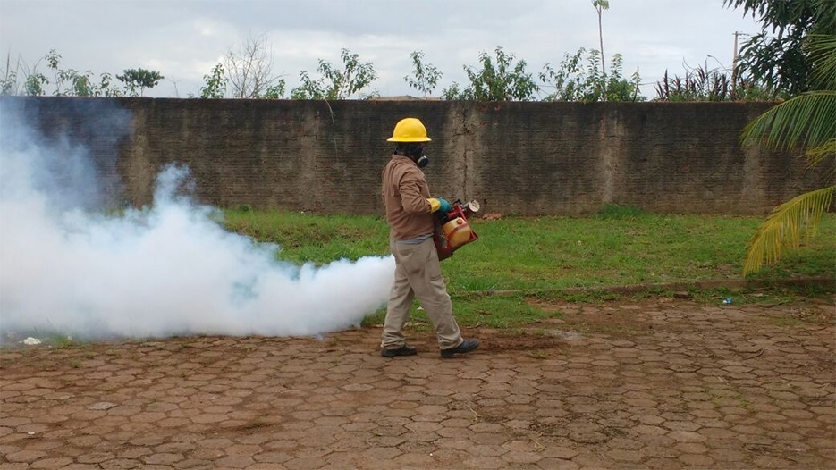 ADA DANTAS SOLICITA FUMACÊ PARA COMBATER MOSQUITO TRANSMISSOR DE MALÁRIA NA COLÔNIA VIÇOSA - News Rondônia