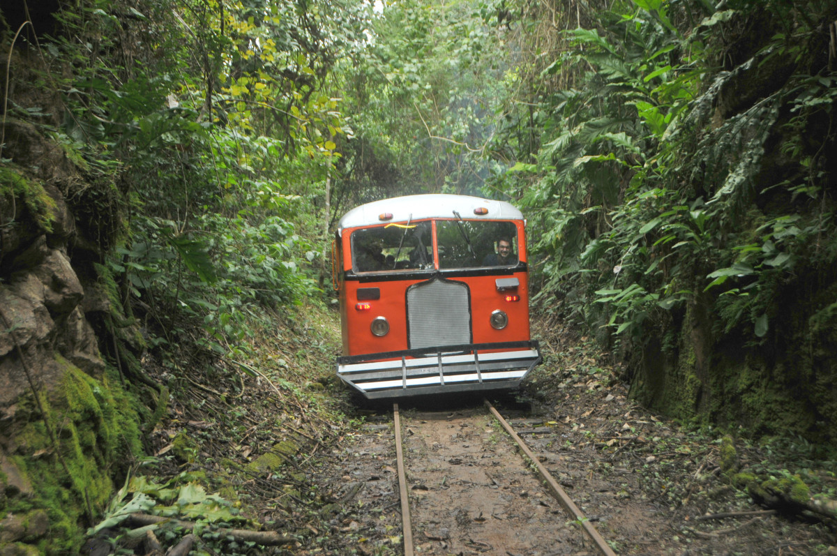 LITORINA VAI OFERECER PASSEIOS LÚDICOS E A VOLTA DO SONHO DA FERROVIA CHEGAR ATÉ GUAJARÁ-MIRIM COM APOIO DO GOVERNO - News Rondônia