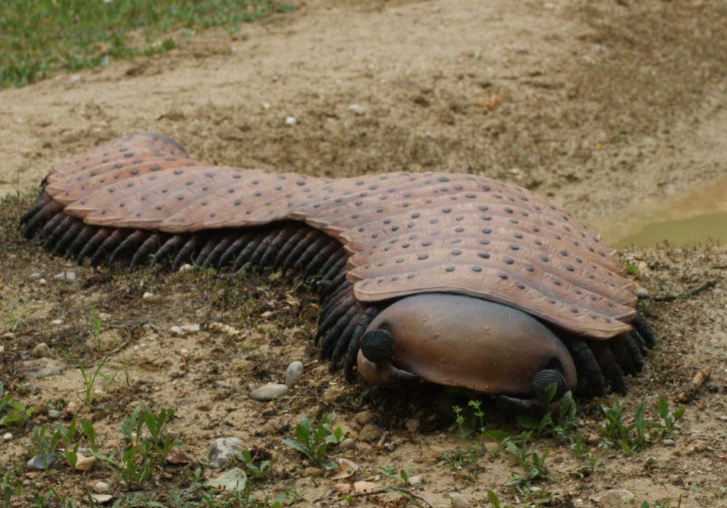 ANIMAIS PRÉ-HISTÓRICOS QUE SÃO GIGANTES - News Rondônia