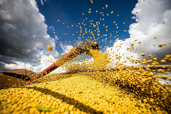 Exportação do agronegócio do Brasil sobe 33,7% em maio e tem recorde histórico - News Rondônia
