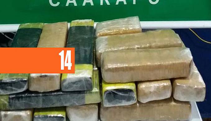 MORADORA DE PORTO VELHO É PRESA TRANSPORTANDO MAIS DE 18 KG DE MACONHA - News Rondônia