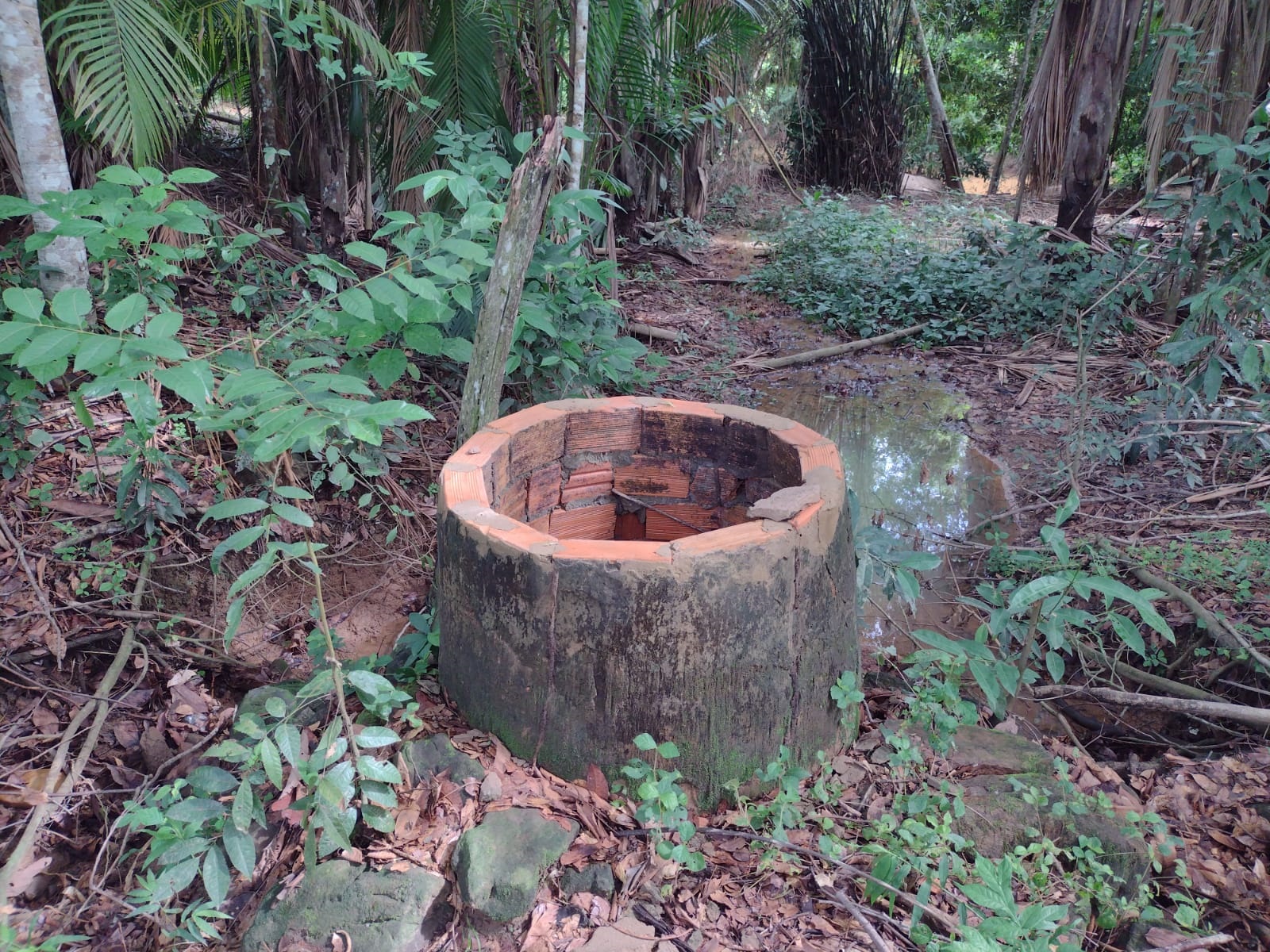 URGENTE: Corpo em decomposição é encontrado dentro de poço - News Rondônia