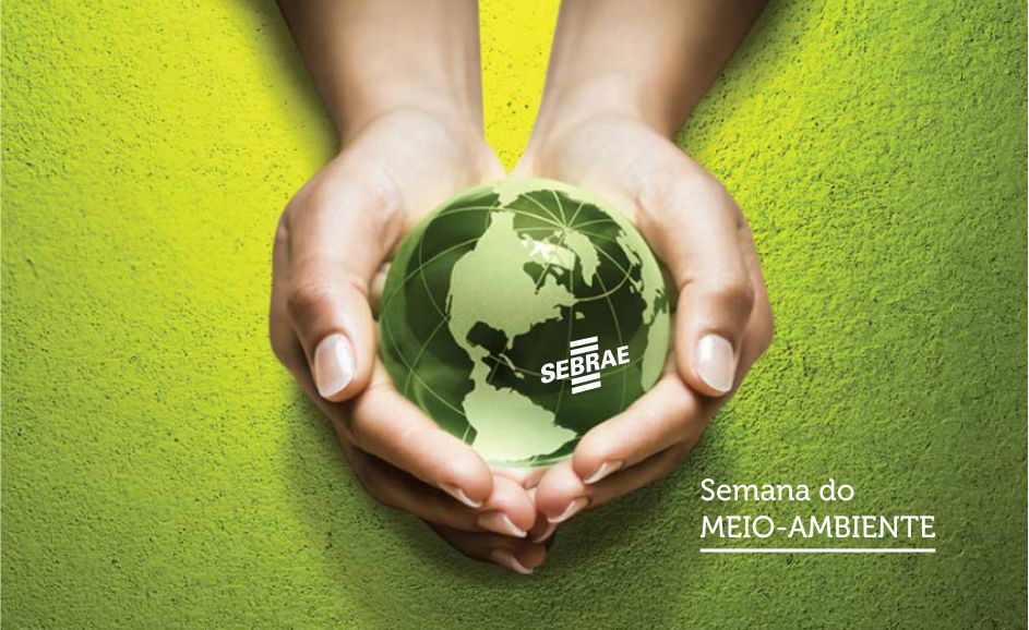 GUAJARÁ MIRIM OFERECE EVENTOS DE PRESERVAÇÃO AMBIENTAL - News Rondônia