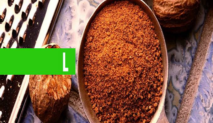 LETAL  CONFIRA QUATRO ALIMENTOS QUE PODEM MATAR - News Rondônia