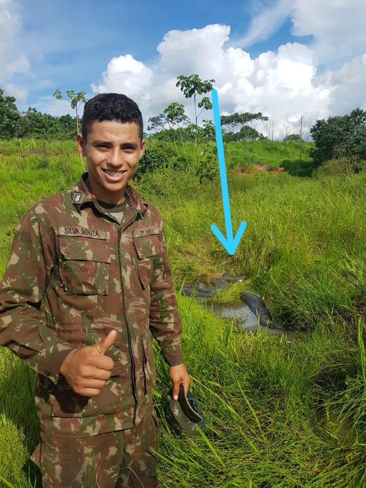 SUCURI DE APROXIMADAMENTE 10 METROS É FLAGRADA EM IGARAPÉ DA BR-364 - VEJA VÍDEO DA FUGA DO ANIMAL - News Rondônia