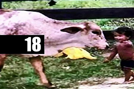 CRIANÇA DE DOIS ANOS MORRE AFOGADA EM AÇUDE DA ZONA RURAL - News Rondônia