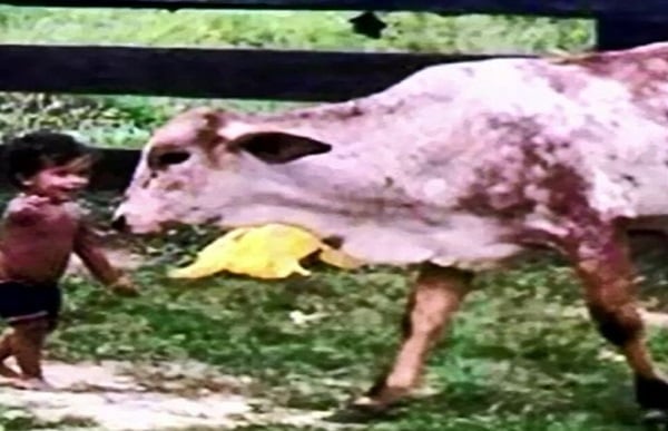 CRIANÇA DE DOIS ANOS MORRE AFOGADA EM AÇUDE DA ZONA RURAL - News Rondônia