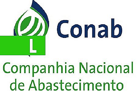 CONAB VAI COMPRAR PRODUTOS PARA FORMAÇÃO DE CESTAS BÁSICAS EM TODO O BRASIL - News Rondônia