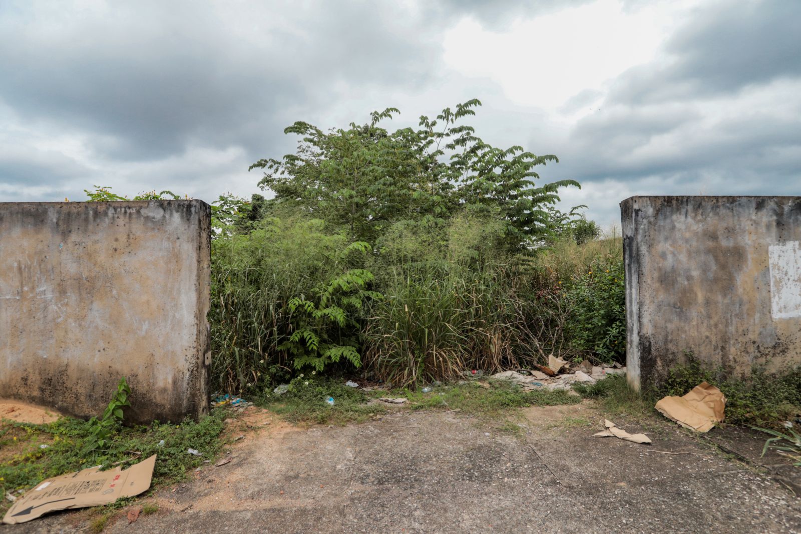 Proprietários de terrenos baldios podem ser multados - News Rondônia