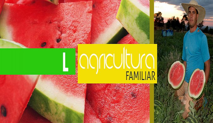 PRAZO DE VALIDADE DA DECLARAÇÃO DE APTIDÃO AO PROGRAMA NACIONAL DA AGRICULTURA FAMILIAR FOI AMPLIADO PARA DOIS ANOS - News Rondônia