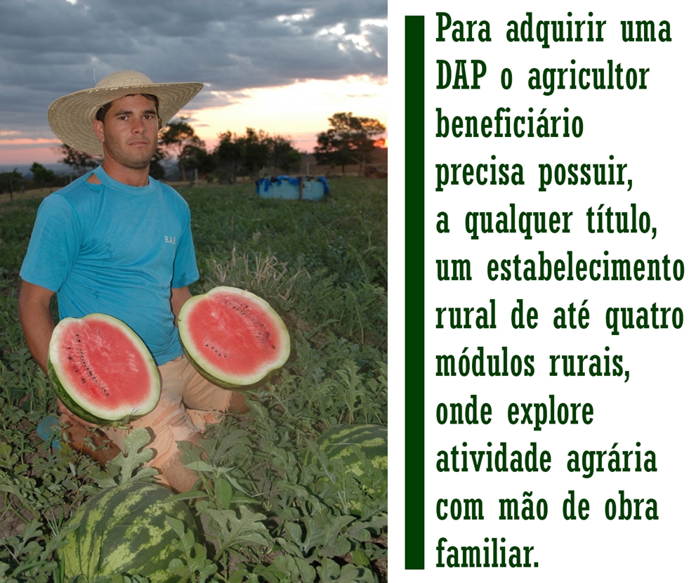 PRAZO DE VALIDADE DA DECLARAÇÃO DE APTIDÃO AO PROGRAMA NACIONAL DA AGRICULTURA FAMILIAR FOI AMPLIADO PARA DOIS ANOS - News Rondônia