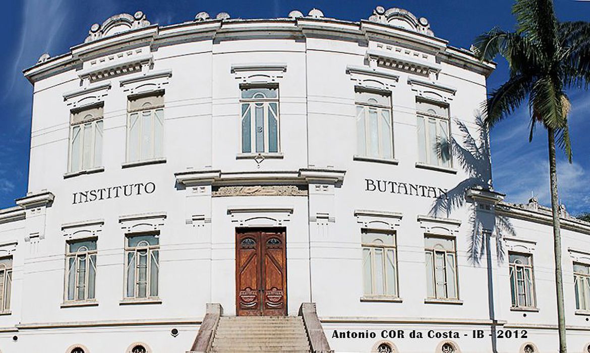 CoronaVac: Butantan vai enviar amostras de testes para a Sinovac - News Rondônia