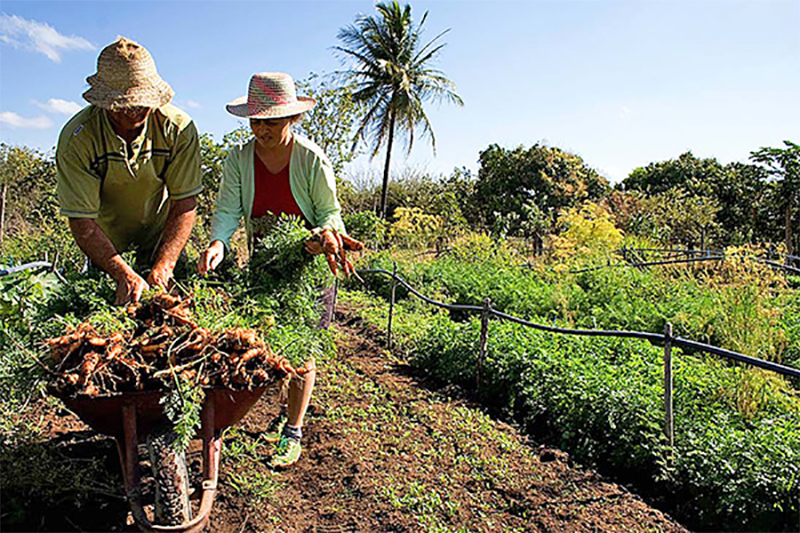 SICREDI LIBERA R$ 126,9 MILHÕES PARA A AGRICULTURA FAMILIAR - News Rondônia
