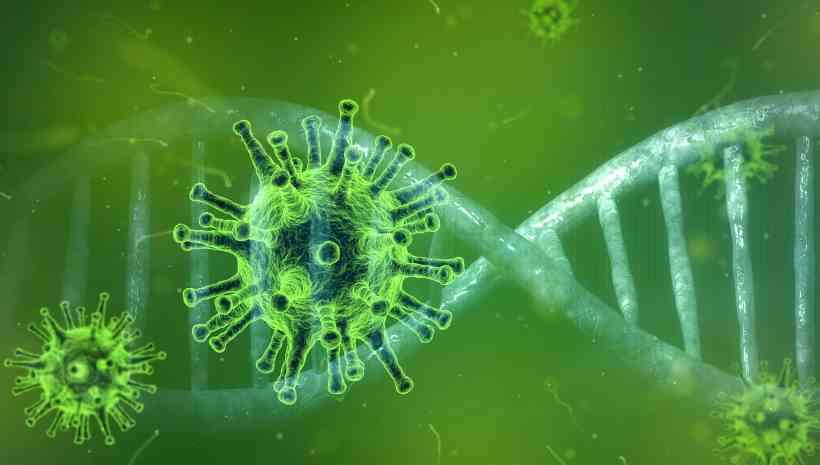 Especialistas respondem se Mega epidemia ameaça o Brasil - News Rondônia